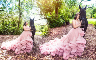Sweet 16 with Black Horse