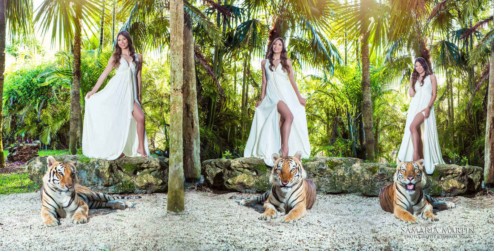 photo with a tiger miami, tiger photo , where to rent a tiger, fotos con tigre miami