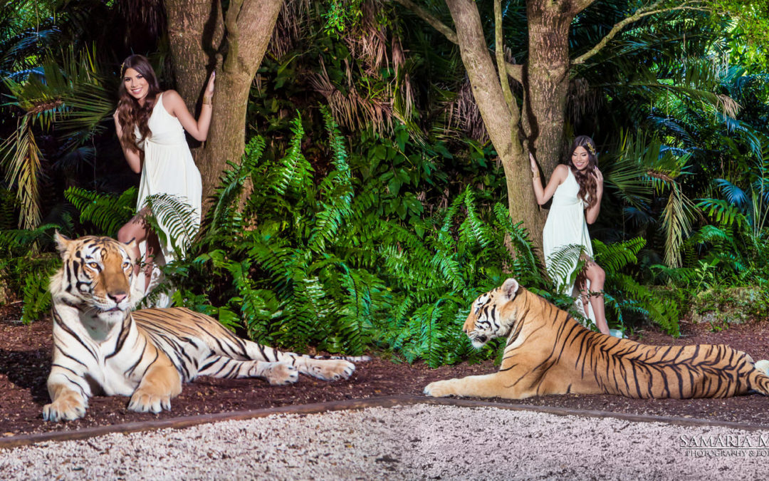 Photo-Shoot with a Tiger