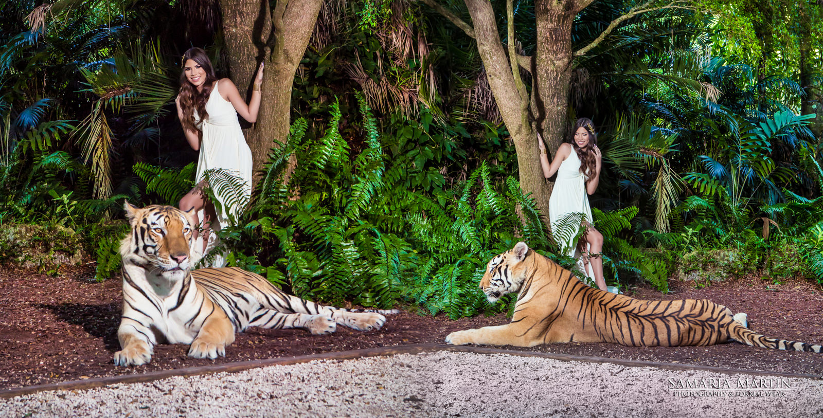 photo with a tiger miami, tiger photo , where to rent a tiger, fotos con tigre miami