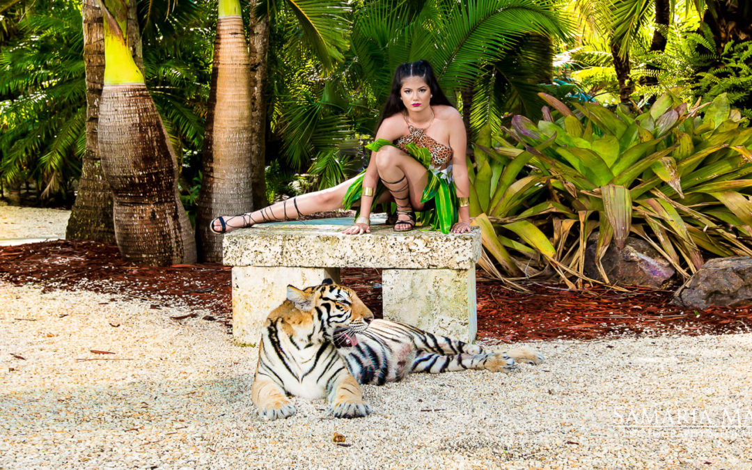 Tiger Photo Shoot Secret Garden