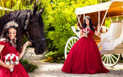 Quinceanera Photoshoot with a horse