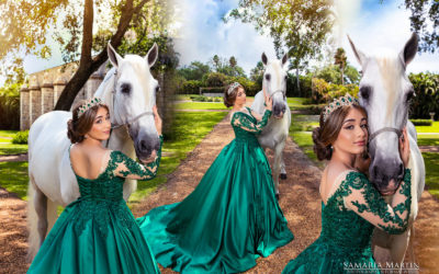 Photo shoot with a horse