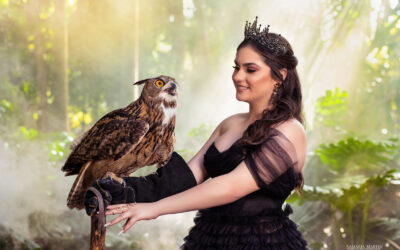 Photo shoot with Owl